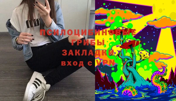 экстази Новодвинск
