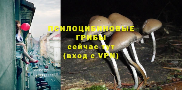 твердый Новокубанск