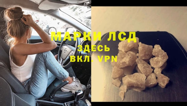 ПСИЛОЦИБИНОВЫЕ ГРИБЫ Няндома