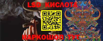 спиды Краснознаменск
