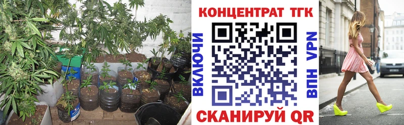 Дистиллят ТГК вейп с тгк  где найти наркотики  shop официальный сайт  Переславль-Залесский 