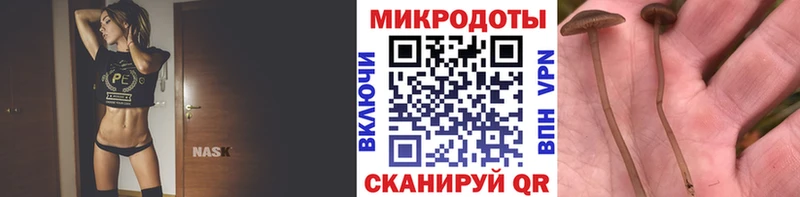 как найти   darknet клад  Псилоцибиновые грибы мухоморы  Переславль-Залесский 